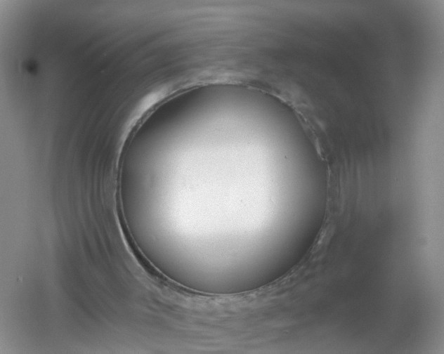 X0000061100003200512022111