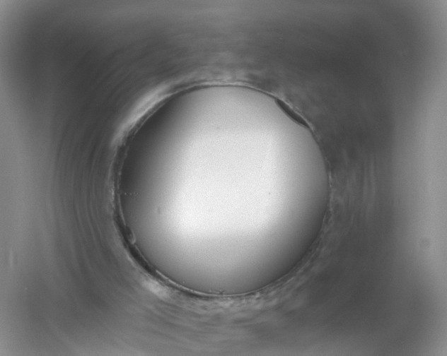 X0000061100005200512022111