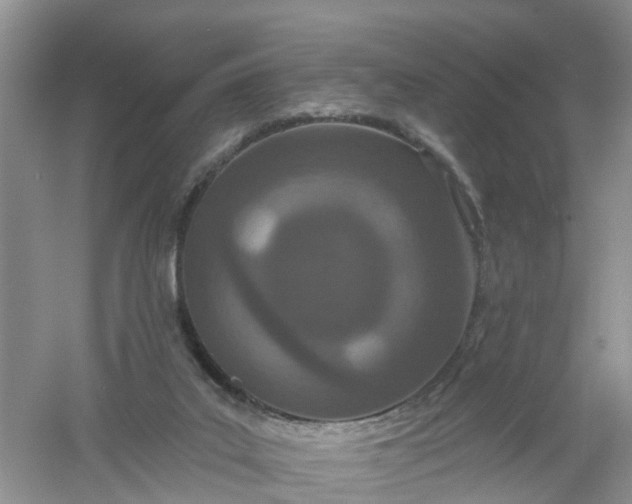X0000061100019200512022111