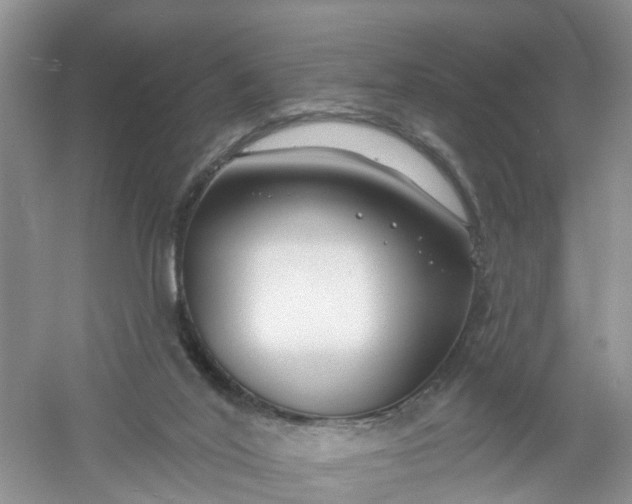 X0000061100020200512022111