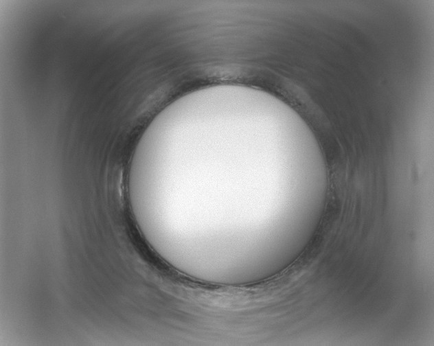 X0000061100024200512022111