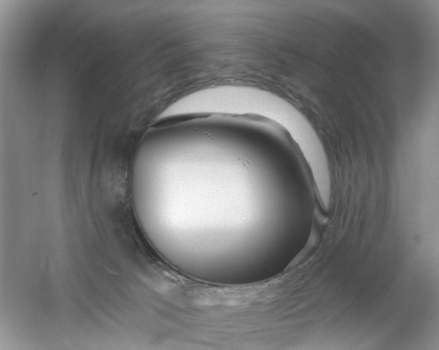 X0000061100033200512022111
