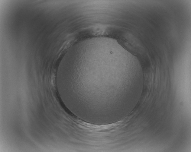X0000061100035200512022111