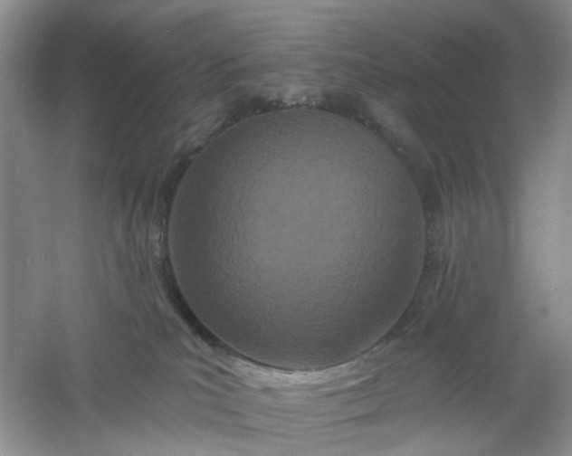 X0000061100039200512022110