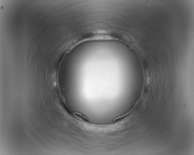 X0000061100043200512022110