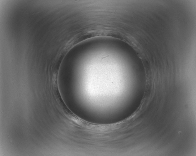 X0000061100045200512022110