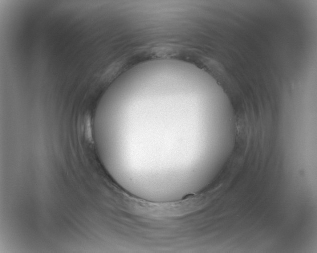 X0000061100046200512022110