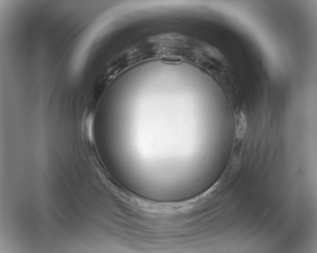 X0000061100047200512022110