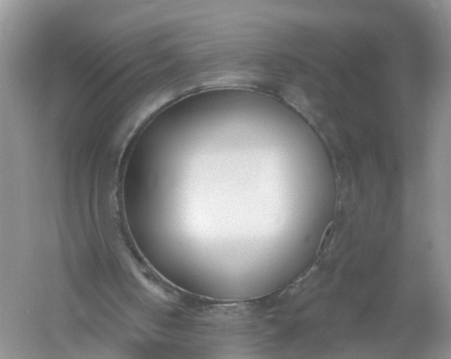 X0000061100050200512022109