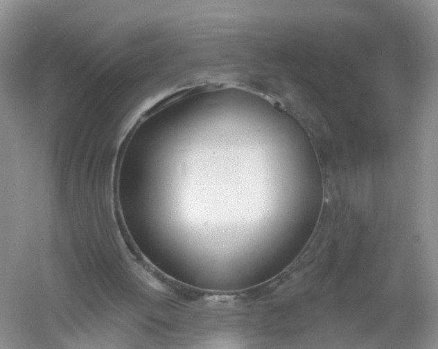 X0000061100052200512022109