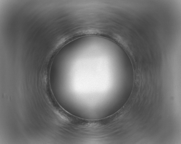 X0000061100063200512022110