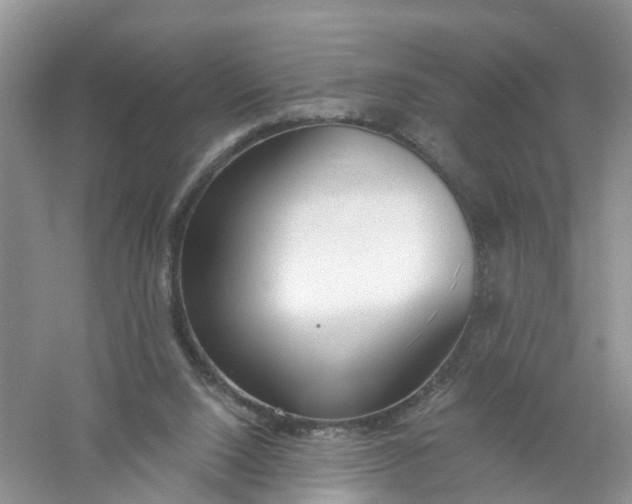 X0000061100064200512022110