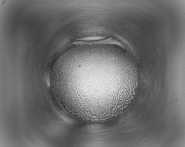 X0000061100069200512022110