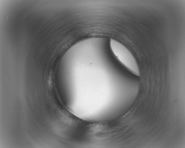 X0000061100074200512022110