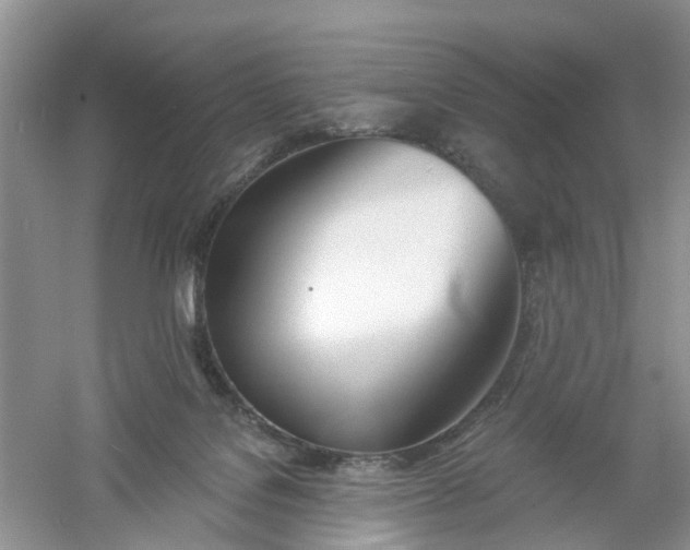 X0000061100076200512022110