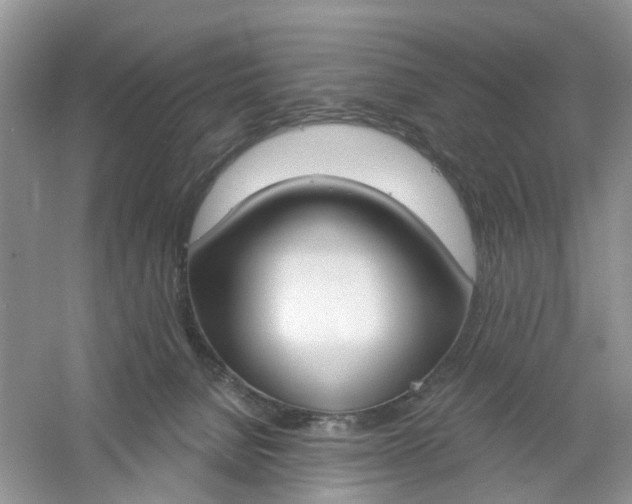 X0000061100080200512022110