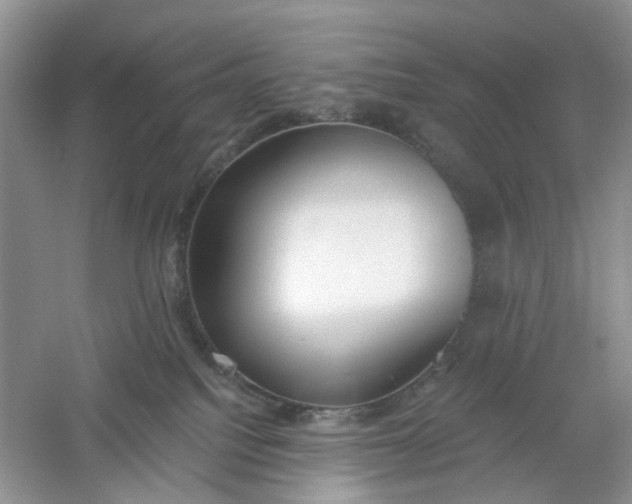 X0000061100088200512022110