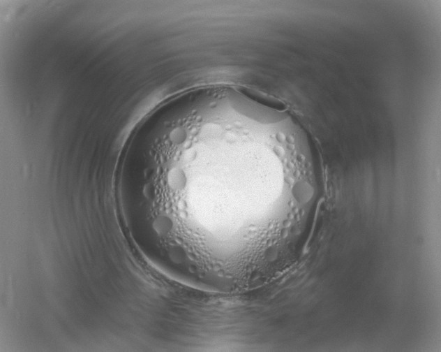X0000061100099200512022109