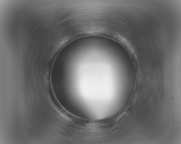 X0000061100105200512022109