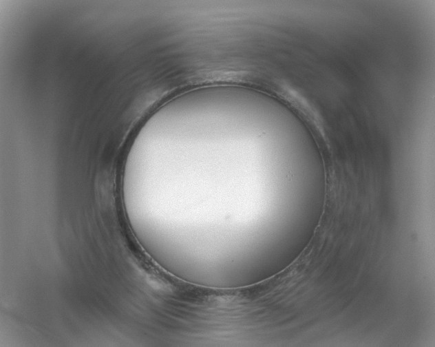 X0000061100107200512022109