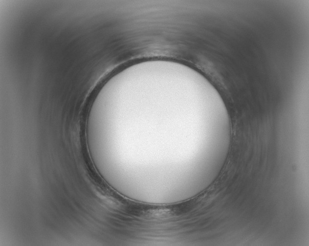 X0000061100108200512022109