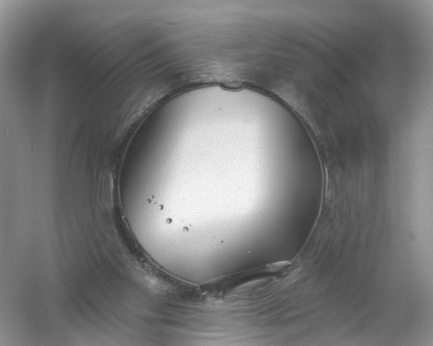 X0000061100109200512022109