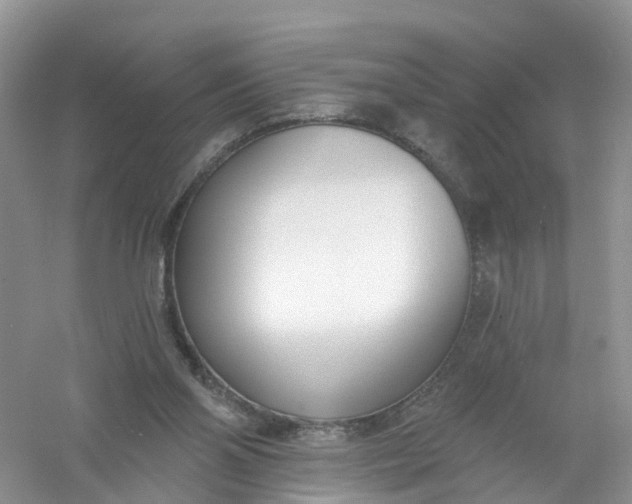 X0000061100110200512022109