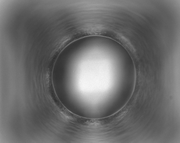 X0000061100113200512022109