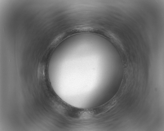X0000061100115200512022109