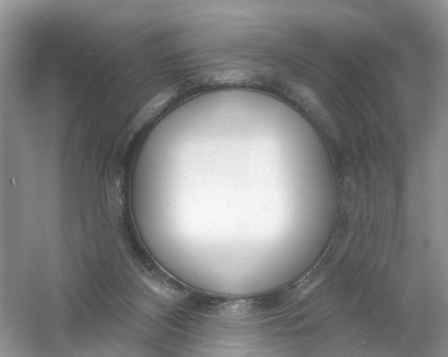 X0000061100116200512022109