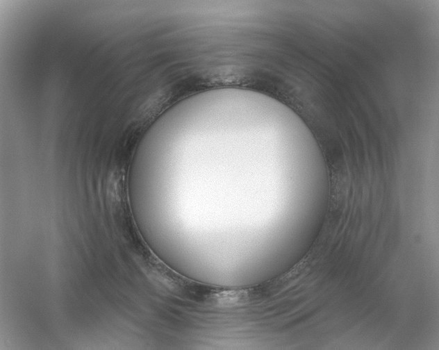 X0000061100126200512022109