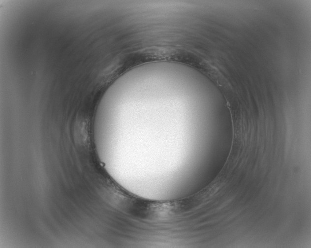 X0000061100131200512022109