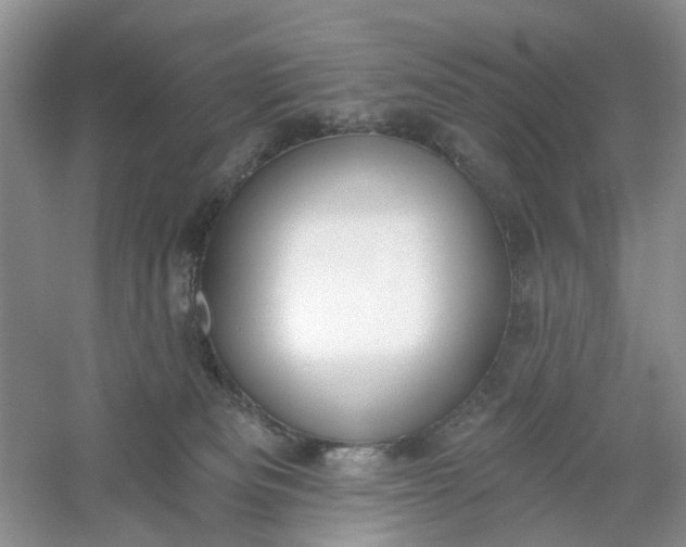 X0000061100133200512022109