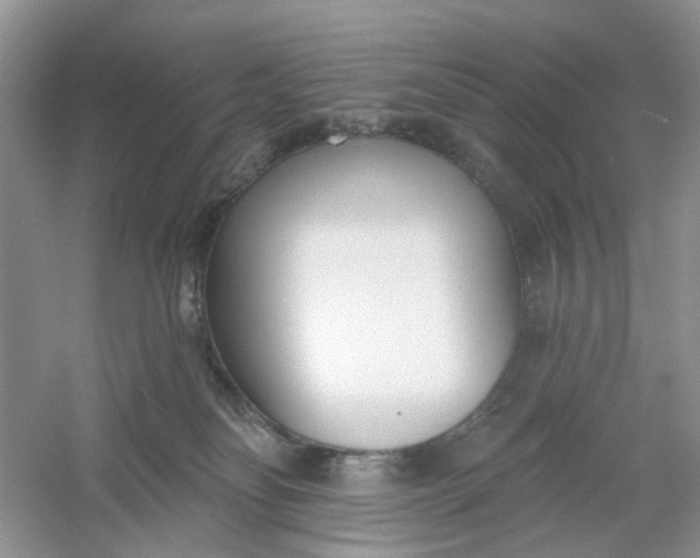 X0000061100134200512022109