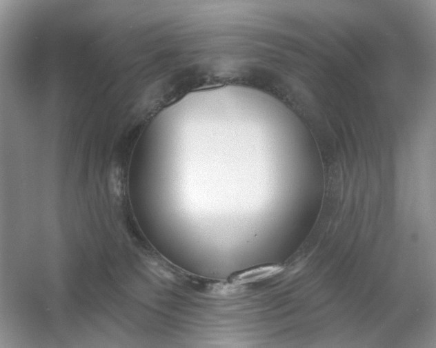 X0000061100135200512022109