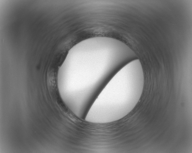 X0000061100137200512022109