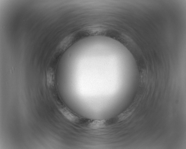 X0000061100138200512022109