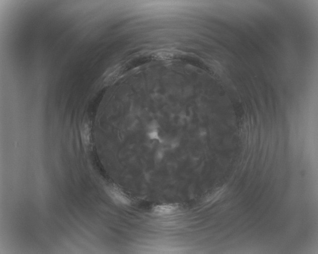 X0000061100139200512022109
