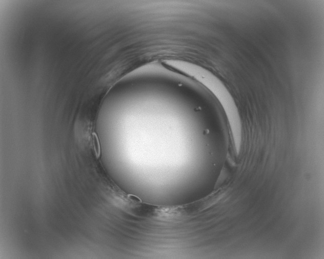 X0000061100141200512022109