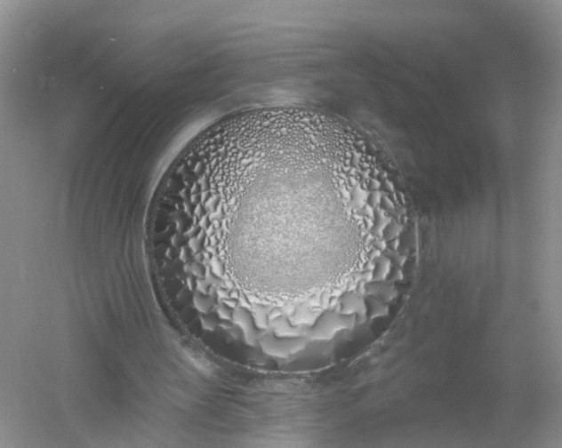 X0000061100147200512022108