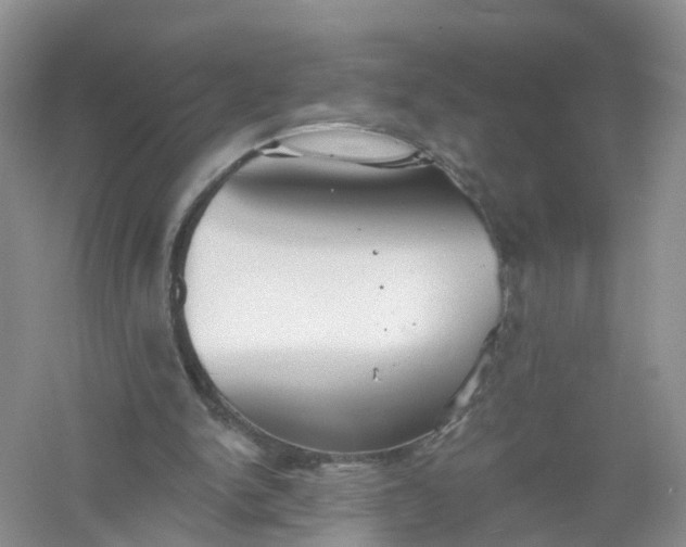 X0000061100150200512022108