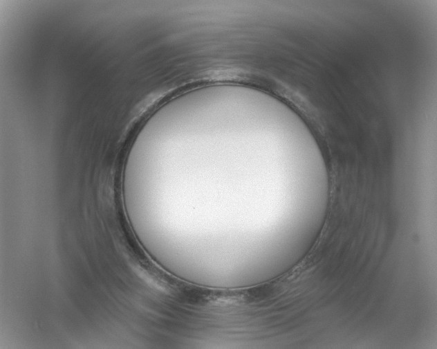 X0000061100155200512022108
