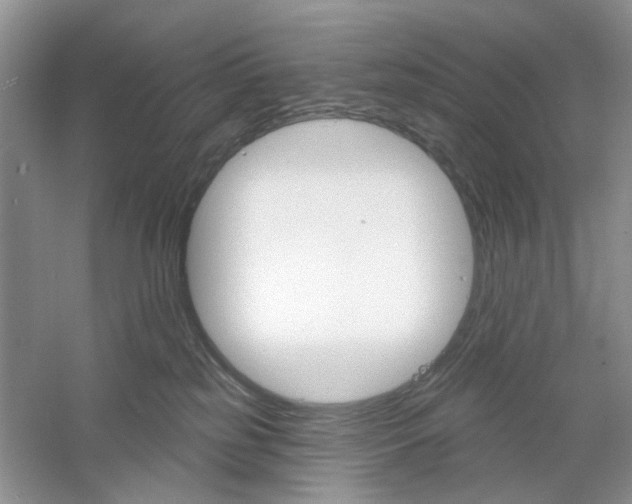 X0000061100185200512022108