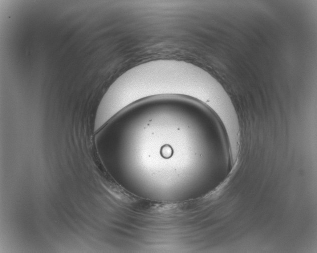 X0000061100186200512022108