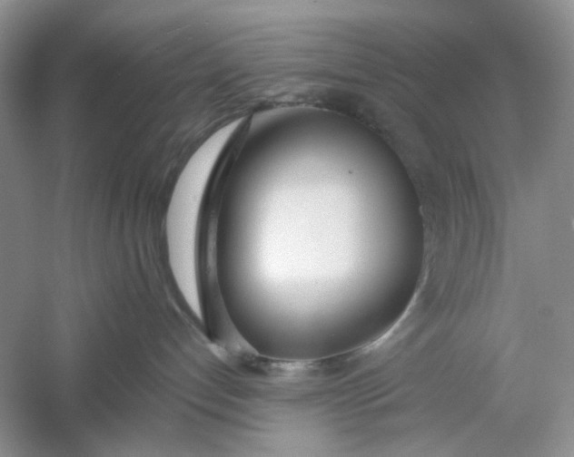 X0000061100192200512022109