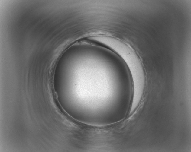 X0000061100193200512022108