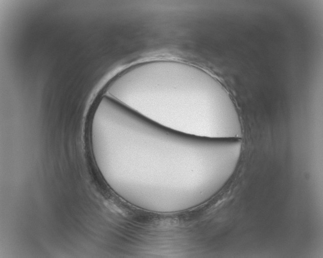 X0000061100200200512022108