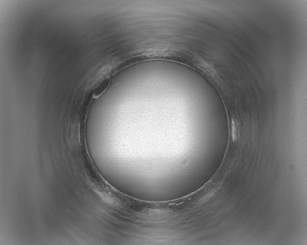 X0000061100205200512022108