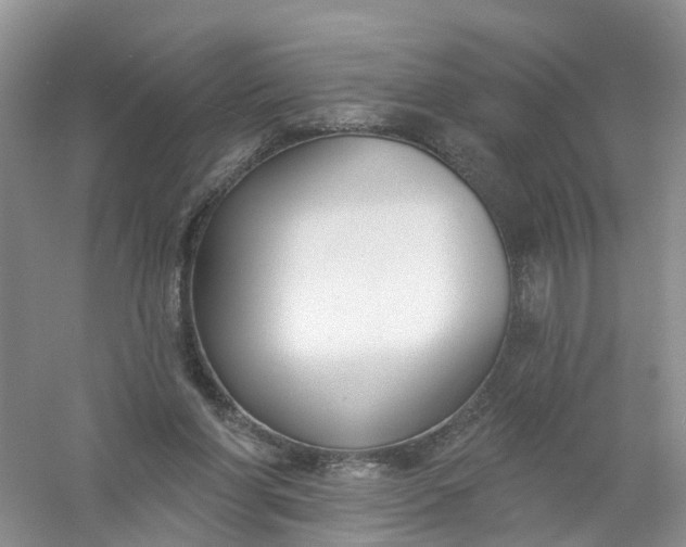 X0000061100206200512022108