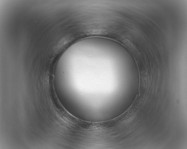 X0000061100207200512022108